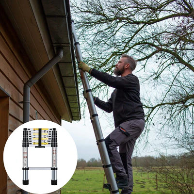 Telescopic Ladder