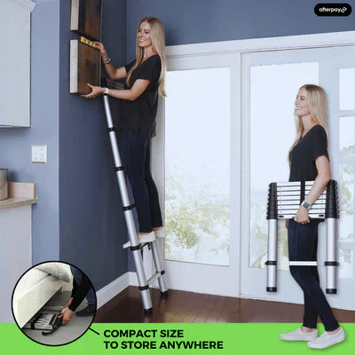 Telescopic Ladder