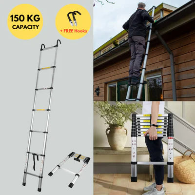 Telescopic Ladder